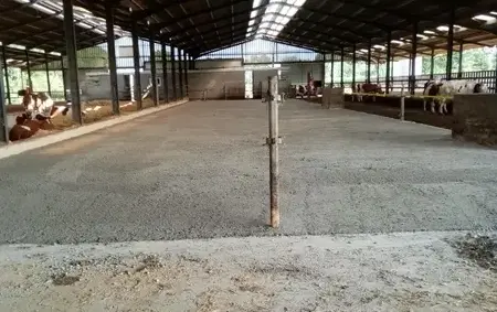 location mini pelle avec chauffeur  Louverné-5