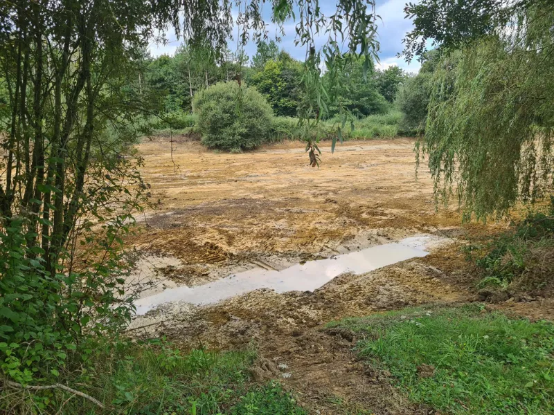 before-image