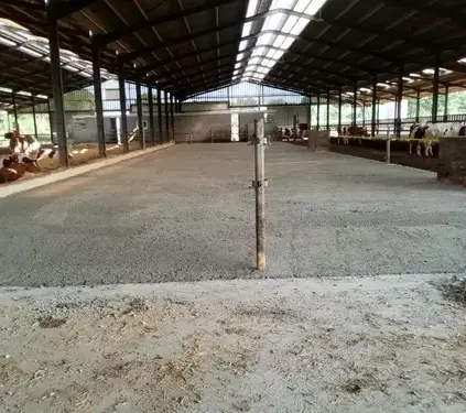 location mini pelle avec chauffeur  Montsûrs-5