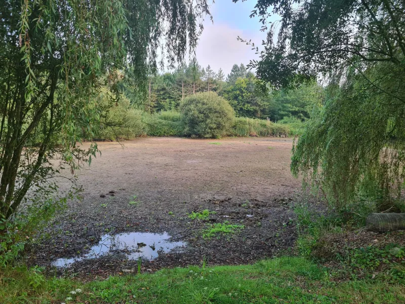 after-image
