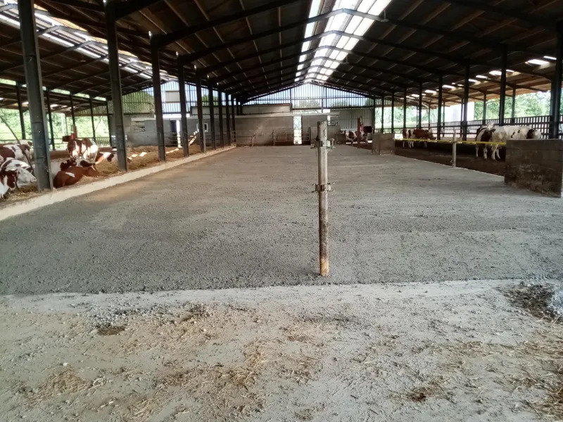 after-image